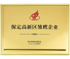 高新區雛鷹企業