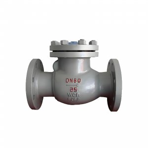 DN50 PN25 介質：甲胺，溫度：80℃止回閥